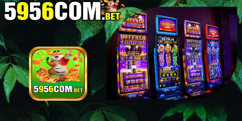 CP Slot 5 O que é a CP Gaming